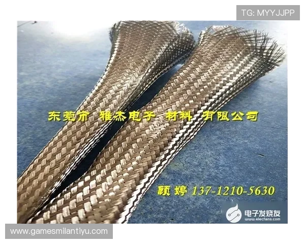 米兰体育网页版入口常见问题解答与技术支持，保障你的使用无忧